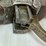 sharps-rifle-mfg.-co.-rifle-image-14