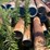 #26-•-large-lot-of-pipe-|-more-info-coming-soon-image-401