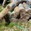 #7118-•-(13)-full-rolls-and-(2)-partial-rolls-of-erosion-tech-straw-landscaping-material-image-2