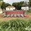1992-case-ih-1064-image-2