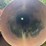 #26-•-large-lot-of-pipe-|-more-info-coming-soon-image-190