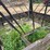#2228-•-homemade-round-bale-feeder-image-5