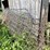 #7141-•-several-galvanized-livestock-panels-image-4