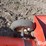 wheatheart-hydraulic-drive-jump-auger-image-18
