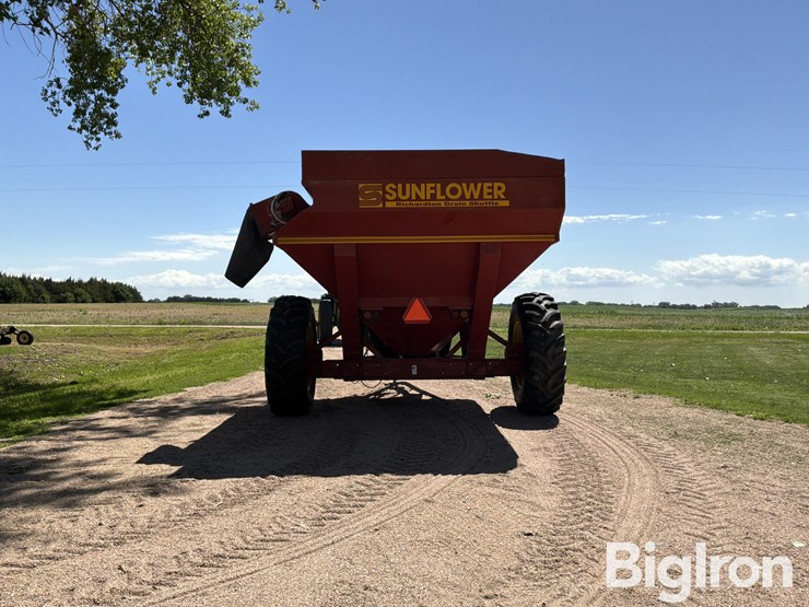 sunflower-8750-image-6