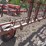 melroe-453-36'-multi-weeder-image-15