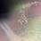 #26-•-large-lot-of-pipe-|-more-info-coming-soon-image-204