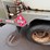 #1797-•-1996-freightliner-m2-lp-truck-image-28