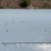 #6510-•-1000-gallon-lp-propane-tank-image-7