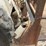 bobcat-610-image-14