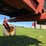 1998-new-holland-hw320-image-24