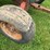 #2223-•-gravity-box-wagon-image-22