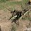 john-deere-9-image-7