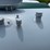 #6497-•-1000-gallon-lp-propane-tank-image-7
