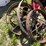 #7153-•-(4)-vintage-steel-wheels-image-3