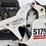 2005-bobcat-s175-image-18