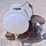 #2052-•-pressure-washer-with-125-gallon-water-tank-on-frame-image-3