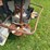 #2225-•-adams-fertilizer-trailer-image-26