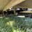 2018-grasshopper-932-image-18