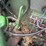 john-deere-6620-titan-ii-image-70