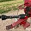 peck-1004-image-10