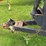 #2225-•-adams-fertilizer-trailer-image-23