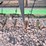 john-deere-635d-image-10