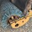 rosco-bh7-image-26