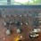 1988-peterbilt-377-image-45