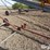 mayrath-60'-8"-electric-drive-auger-image-14