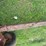 #2221-•-korhumel-industries-6072-fertilizer-gravity-wagon-image-22