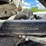 #6057-•-polaris-500-utv-(no-registration-card)-image-21
