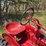 farmall-a-image-26