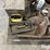 case-ih-3-image-12