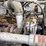 2002-peterbilt-330-image-12