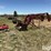 farmhand-f358-image-8