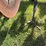 alloway-3030-image-9