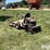 grasshopper-725-image-7