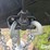 2021-forest-river-wildwood-31lqbts-t/a-travel-trailer-image-11