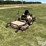 grasshopper-725-image-1
