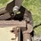 grasshopper-725-image-17