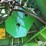1998-john-deere-9610-image-18