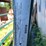 #7146-•-metal-livestock-gate-image-6