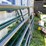 #7144-•-metal-livestock-gate-image-3