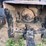 #5502-•-allis-chalmers-8070-image-16