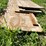 #7125-•-assorted-scrap-lumber-and-plywood-image-4