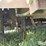 2018-grasshopper-932-image-19