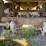 #2216-•-1978-montone-28'-end-dump-semi-trailer-image-62