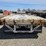 t/a-37ft-scissor-neck-image-3