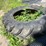 #7123-•-armstrong-tractor-tire-image-2